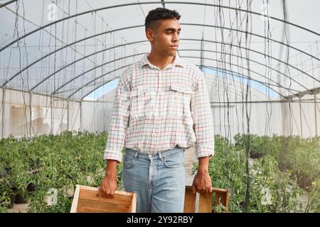 Agricoltore, box e passeggiate in serra per l'agricoltura, il raccolto e la produzione di colture con piante. Uomo, crescita e contenitore di legno per l'agricoltura Foto Stock