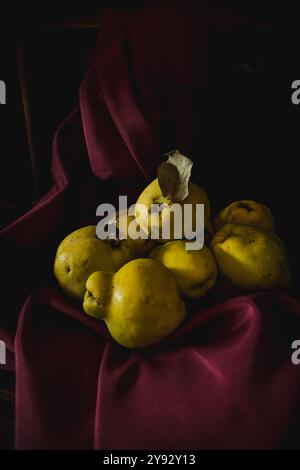 Una natura morta spettacolare caratterizzata da quinces appena selezionati, collocati su un ricco tessuto Bordeaux, catturati con un'illuminazione a chiaroscuro dai toni bassi, che enfatizza il contr Foto Stock