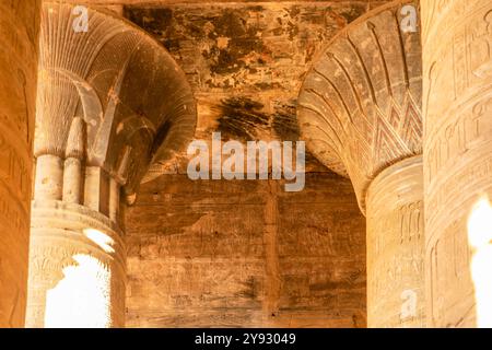 Raggiungendo i cieli del tempio di Edfu, queste colonne celesti collegano il regno terreno con il divino. Testimonianza dell'abilità dell'antico. Foto Stock