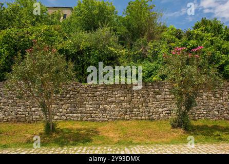 Oleandri e un vecchio muro di pietra nel quartiere residenziale del castello fortificato di Berat, nel sud dell'Albania. Il castello è una miscela di bizantini, ottomani Foto Stock