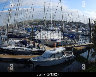 Guarda con una lente fisheye che distorce gli alti alberi degli yacht di lusso ormeggiati nelle acque riparate del porticciolo di Troon Yacht Haven. Foto Stock