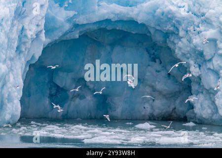 Vedute del Monacobreen (ghiacciaio di Monaco), nella Terra di Haakon VII sull'isola di Spitsbergen nelle Svalbard, Norvegia, Artico, Europa Foto Stock