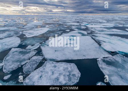 Ghiaccio in tutte le sue miriadi di forme nell'arcipelago delle Svalbard, Norvegia, Artico, Europa Foto Stock