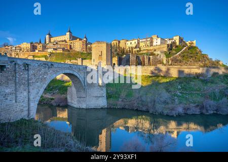 Vista dal porto e dal ponte dell'Alcantara, Toledo, sito patrimonio dell'umanità dell'UNESCO, Castiglia-la Mancha, Spagna, Europa Foto Stock