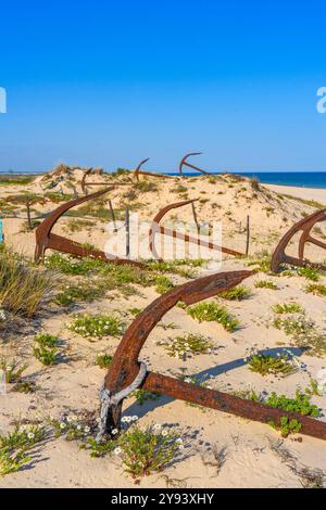 Il cimitero delle ancore, lungo la spiaggia di Barril, Tavira, Algarve, Portogallo, Europa Foto Stock