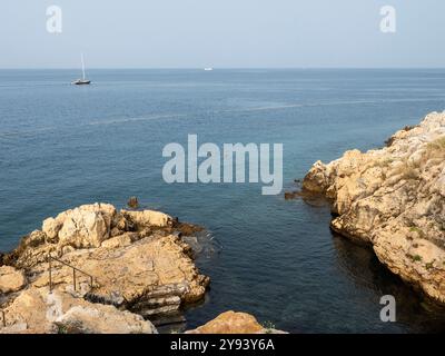 Nuotare nel mare, Rovigno, Istria, Croazia, Europa Foto Stock