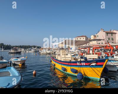 Barca colorata nel porto di Rovigno, Istria, Croazia, Europa Foto Stock