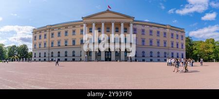 Vista del Palazzo reale, Oslo, Norvegia, Scandinavia, Europa Foto Stock