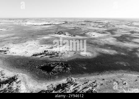 Vista aerea del paesaggio B&W della vastità del Delta dell'Okavango, in Botswana, Africa Foto Stock