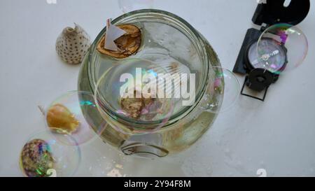 Un vaso di vetro riempito d'acqua. Barche di noce, conchiglie. Foto Stock