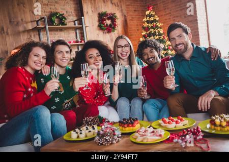 Foto di giovani simpatici, bevi champagne, sorseggia un bicchiere, goditi un'accogliente decorazione natalizia all'interno della casa Foto Stock