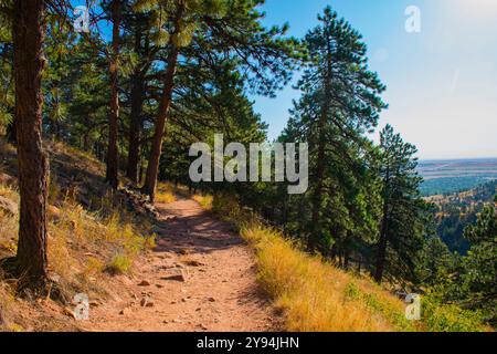 Sentiero di terracotta con rocce tra alberi di alto fusto e il giallo e il verde dei prati su un soleggiato nella tarda estate del giorno in Chautauqua Park in Boulder Colorado Foto Stock