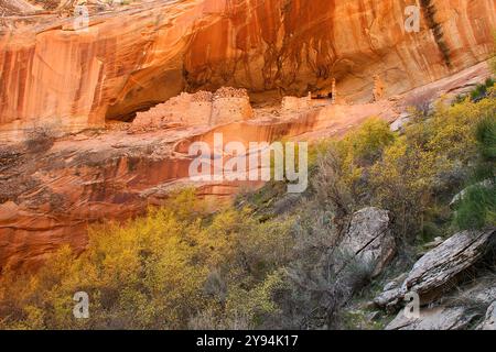 Monarch Cave, rovine ancestrali di Puebloan Foto Stock