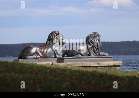 Tutzing, Bayern, Deutschland, 08. Oktober 2024: Ein Herbsttag mit Föhn in Tutzing Landkreis Starnberg. Hier der Blick von Brahmspromenade am Midgardhaus auf die bekannten Löwen, die am Ufer des Starnberger SEE thronen , Herbst, herbstlich, Laubfärbung, Färbung, Sonne, sonnig, Wärme, geniessen, Blätterfärbung, herbstlich, Bayern, Oberbayern, Fuenfseenland, Fünfseenland *** Tutzing, Bavaria, Germania, 08 ottobre 2024 una giornata autunnale con foehn nel distretto di Tutzing Starnberg qui la vista da Brahmspromenade al Midgardhaus ai famosi leoni, che sono in trono sulla riva del lago Starnberg , Foto Stock