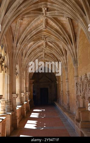 I chiostri nell'abbazia di Cadouin, nel sud della regione francese della Dordogna, nel Perigord Pourpre (Purple Perigord) Foto Stock