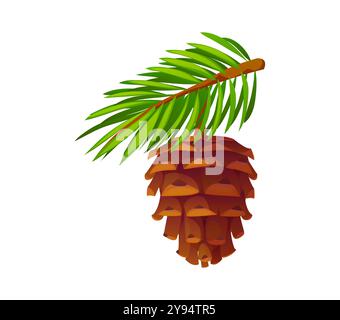Cono di pino cartoni animati con lussureggianti aghi verdi sempreverdi. Oggetto isolato della foresta naturale stagionale autunnale vettoriale. Struttura in legno, portante di semi con scaglie dure sovrapposte appese al ramo di pino Illustrazione Vettoriale