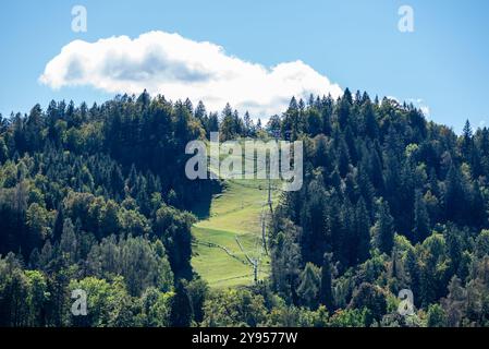 Pista da slittino estiva sulle colline intorno al lago di Bled nelle Alpi Giulie; la pista da slittino si trova sulla pista da sci lungo la seggiovia. Foto Stock