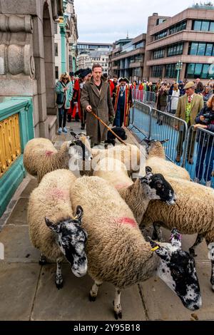 L'attore di Hollywood Damian Lewis conduce l'annuale Sheep Drive attraverso il Southwark Bridge in un evento ospitato dalla Worshipful Company of Woolmen, Londra, Regno Unito. Foto Stock