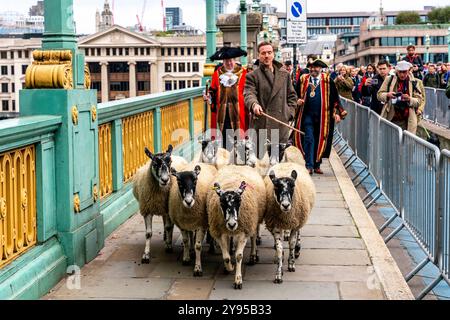 L'attore di Hollywood Damian Lewis conduce l'annuale Sheep Drive attraverso il Southwark Bridge in un evento ospitato dalla Worshipful Company of Woolmen, Londra, Regno Unito. Foto Stock