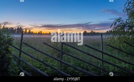 Prato nebbioso durante l'ora blu in una notte estiva a Saaremaa, Estonia Foto Stock