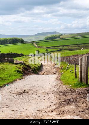 Il sentiero a lunga distanza Pennine Bridleway segue un percorso sommerso attraverso terreni agricoli sulle colline del Peak District in Inghilterra. Foto Stock