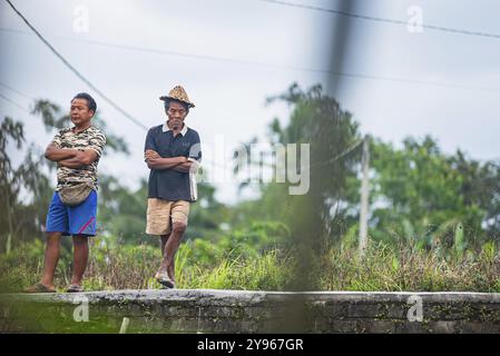 Due uomini in piedi rilassati su un sentiero tra risaie in un ambiente rurale, Ubud, Bali, Indonesia, Asia Foto Stock