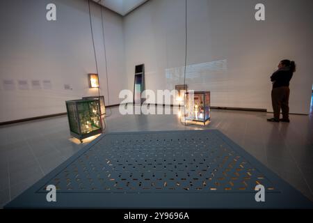 Londra, Regno Unito, 8 ottobre 2024, Leap Year illumina la pratica poliedrica, interdisciplinare e altamente creativa di Yang dal 1995 ad oggi. Ci sono cinque zone tematiche, con tre nuove commissioni importanti. Il lavoro di Yang comprende sculture, collage, testo, video, carta da parati e suoni. Inoltre, trasformare oggetti di uso quotidiano in arte. La mostra alla Hayward Gallery aprirà il 9 ottobre e continuerà fino al 5 gennaio 2025., Andrew Lalchan Photography/Alamy Live News Foto Stock