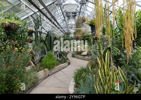 All'interno dell'Allan Gardens Conservatory nel Garden District di Toronto, Ontario, Canada Foto Stock