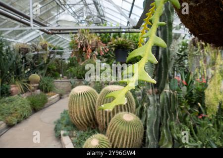 All'interno dell'Allan Gardens Conservatory nel Garden District di Toronto, Ontario, Canada Foto Stock