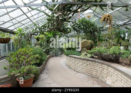 All'interno dell'Allan Gardens Conservatory nel Garden District di Toronto, Ontario, Canada Foto Stock