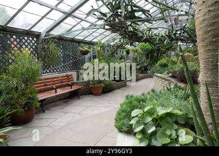 All'interno dell'Allan Gardens Conservatory nel Garden District di Toronto, Ontario, Canada Foto Stock