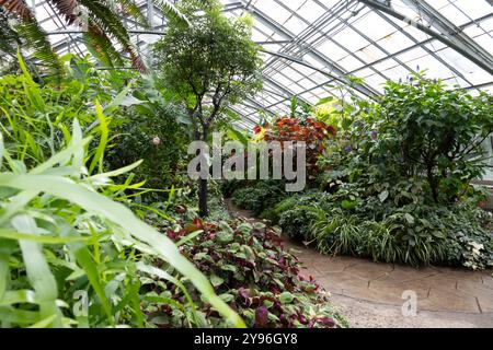 All'interno dell'Allan Gardens Conservatory nel Garden District di Toronto, Ontario, Canada Foto Stock