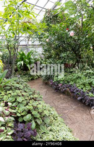 All'interno dell'Allan Gardens Conservatory nel Garden District di Toronto, Ontario, Canada Foto Stock