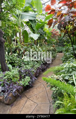 All'interno dell'Allan Gardens Conservatory nel Garden District di Toronto, Ontario, Canada Foto Stock