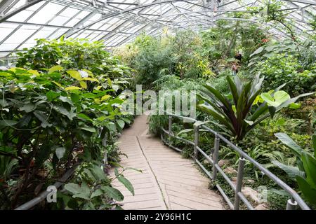 All'interno dell'Allan Gardens Conservatory nel Garden District di Toronto, Ontario, Canada Foto Stock