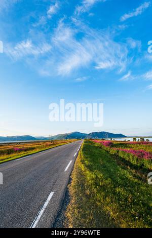 Lungo rettilineo che porta all'orizzonte in estate, Andoya, Norvegia. Ciclismo, bikepacking, roadtrip Foto Stock