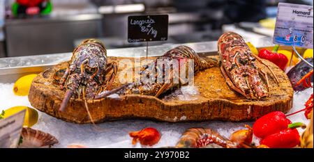 Aragoste in un mercato a Tolone, Var, Provence Alpes Côte d'Azur, Francia Foto Stock