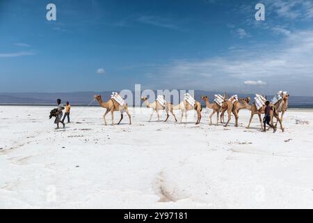 Gibuti, lago Assal: Lago salino che si trova a 155 m (509 piedi) sotto il livello del mare nel Triangolo di Afar, il che lo rende il punto più basso sulla terra in Africa e nel Foto Stock