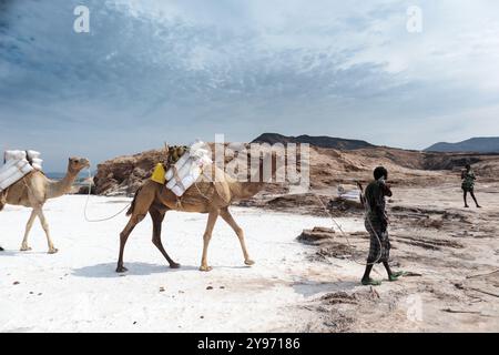 Gibuti, lago Assal: Lago salino che si trova a 155 m (509 piedi) sotto il livello del mare nel Triangolo di Afar, il che lo rende il punto più basso sulla terra in Africa e nel Foto Stock