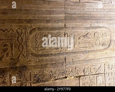 Edfu, Egitto; 17 gennaio 2024: Esplora la sacra scrittura di Horus, incisa nelle mura del tempio di Edfu. Questi geroglifici raccontano la storia del falco Foto Stock