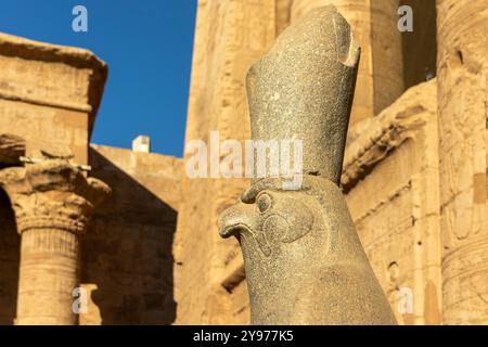Statua del dio a testa di falco Horus, la cui corona simboleggia il suo dominio sui cieli, sulla terra e sull'Egitto, a guardia del tempio di Horus a Edfu Foto Stock