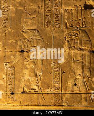 Edfu, Egitto; 17 gennaio 2024: Ammira l'intricata bellezza dei geroglifici e dei cartigli che coprono le pareti del Tempio di Horus a Edfu. Foto Stock