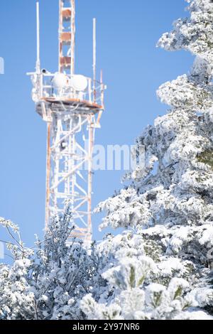 Torre di telecomunicazione coperta di gelo in inverno. Foto Stock