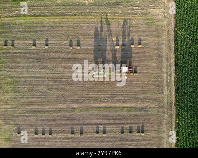 Volo aereo, vista con droni dall'alto verso il basso, sopra i campi agricoli verdi, persone che lavorano con macchinari che raccolgono l'ebolla al mattino di sole. Vojvodina, Serbi Foto Stock