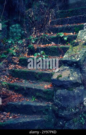 Gradini ricoperti di autunno caduto lasciano Berlino Germania Foto Stock