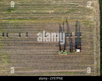 Volo aereo, vista con droni dall'alto verso il basso, sopra i campi agricoli verdi, persone che lavorano con macchinari che raccolgono l'ebolla al mattino di sole. Vojvodina, Serbi Foto Stock