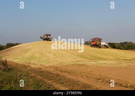 Veicoli bulldozer cingolati a pistoni con sistema di chiusura per insilato di granturco dolce nel campo immagazzinato per biocarburanti, Alderton, Suffolk, Inghilterra, Regno Unito Foto Stock