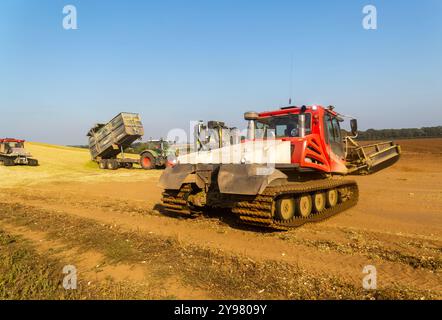 Veicoli bulldozer cingolati a pistoni con sistema di chiusura per insilato di granturco dolce nel campo immagazzinato per biocarburanti, Alderton, Suffolk, Inghilterra, Regno Unito Foto Stock