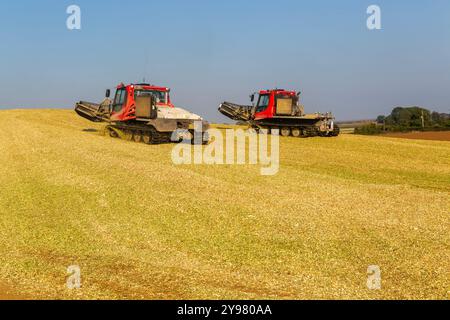 Veicoli bulldozer cingolati a pistoni con sistema di chiusura per insilato di granturco dolce nel campo immagazzinato per biocarburanti, Alderton, Suffolk, Inghilterra, Regno Unito Foto Stock