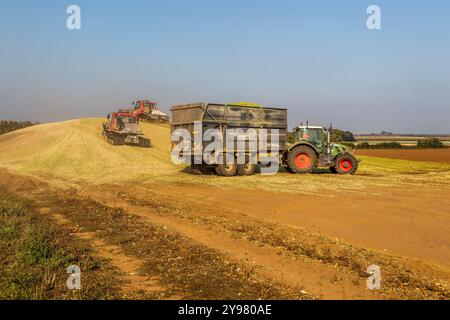 Veicoli bulldozer cingolati a pistoni con sistema di chiusura per insilato di granturco dolce nel campo immagazzinato per biocarburanti, Alderton, Suffolk, Inghilterra, Regno Unito Foto Stock